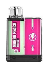 Vapengin Mercury 600 Disposable Vape - Box of 10
